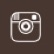 ins-icon
